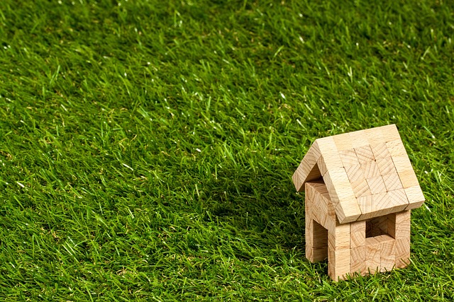 Understanding Title Insurance Policies